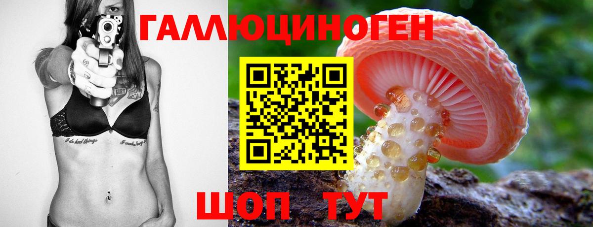 Магнитогорск  Псилоцибиновые грибы MAGIC MUSHROOMS  Галлюциногенные грибы мицелий  Вход с VPN 